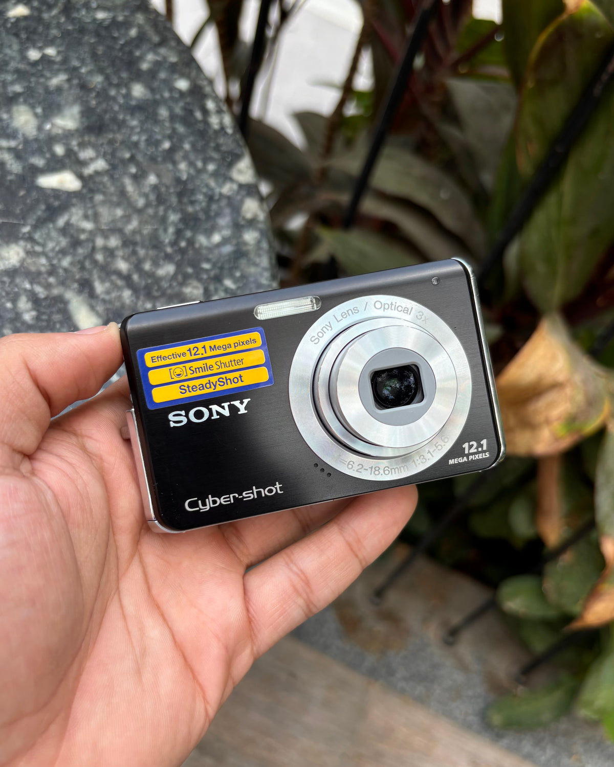 Sony Cyber-shot DSC-W190 (with box)