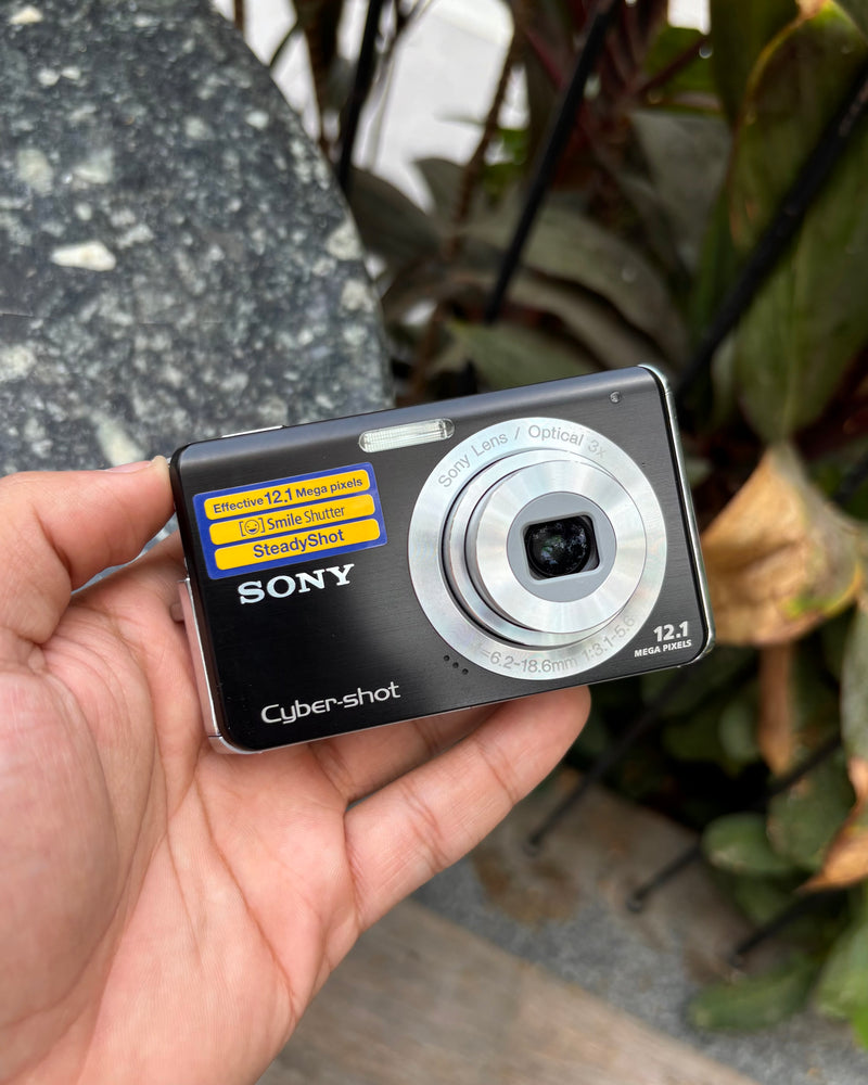 Sony Cyber-shot DSC-W190 (with box)