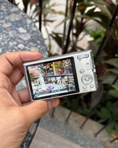 Sony Cyber-shot DSC-W610 (with box)