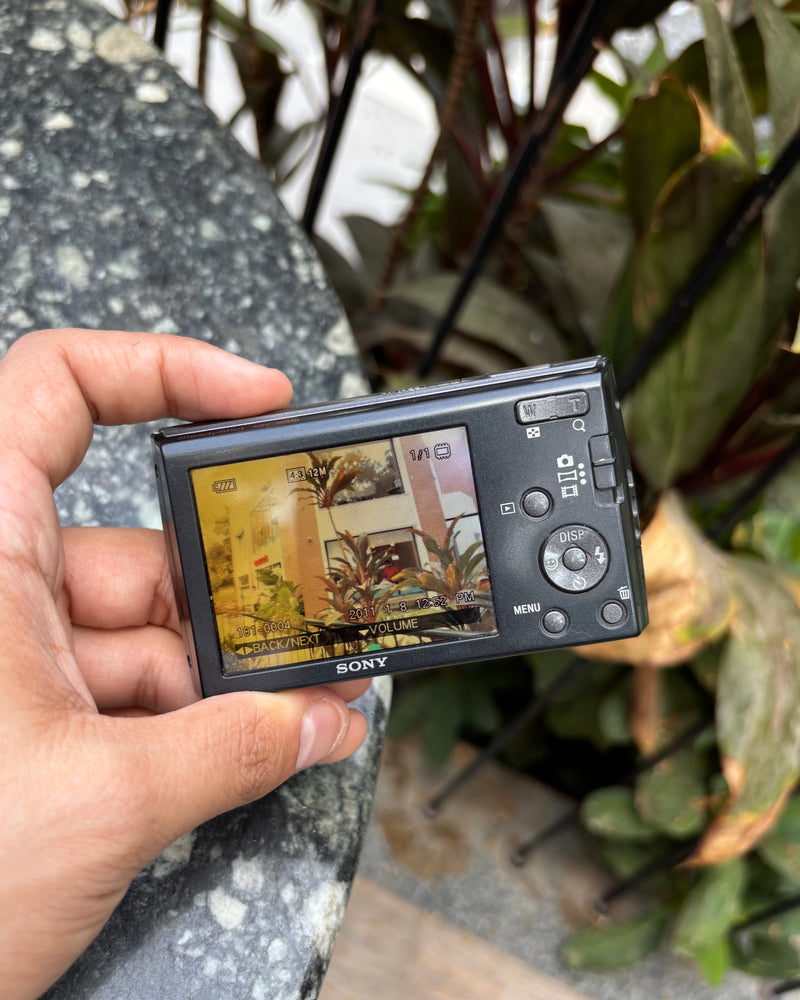 Sony Cyber-shot DSC-W510