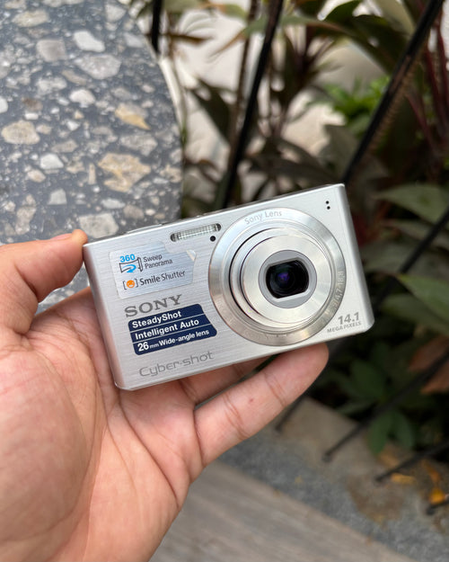 Sony Cyber-shot DSC-W610 (with box)
