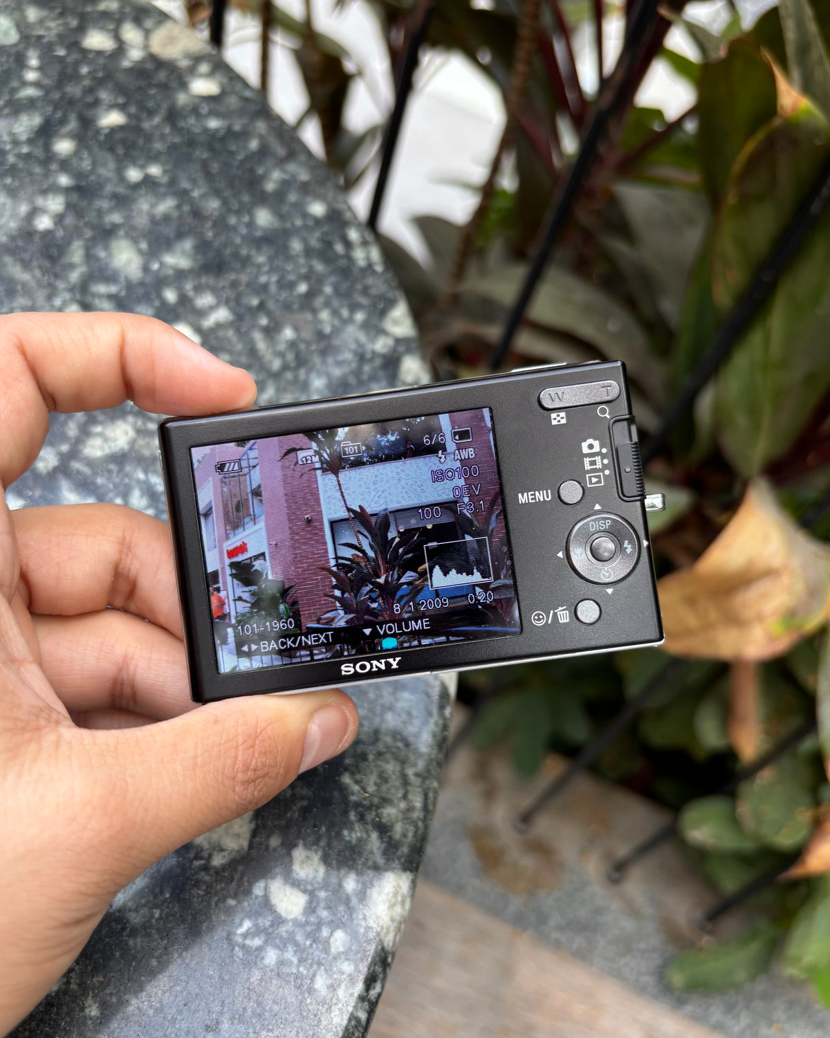 Sony Cyber-shot DSC-W190 (with box)