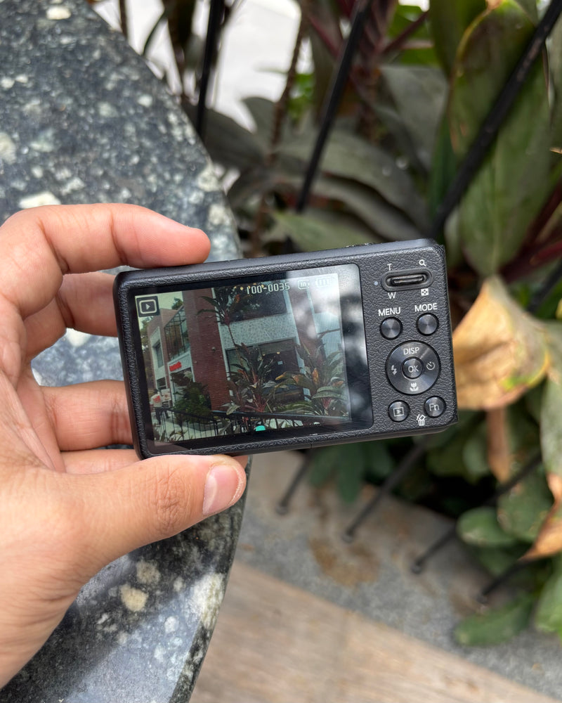 Samsung DV100