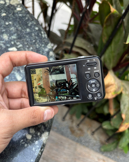 Samsung PL120
